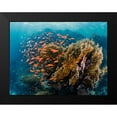 thumbnail image 2 of Ben Tov, Ilan 14x12 Black Modern Framed Museum Art Print Titled - Reefscape, 2 of 5