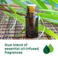 thumbnail image 5 of Glade Aromatherapy Essential Oil Diffuser Refills, Lemongrass & Bergamot, 0.56 oz, 6 Count, 5 of 21