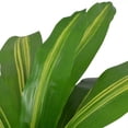 thumbnail image 2 of vidaXL Artificial Dracaena Plant with Pot 90 cm Green, 2 of 2