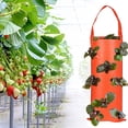 thumbnail image 4 of 2 bolsas de cultivo colgantes para fresas, tomates, interior y exterior, cultivo vertical de verduras, hierbas y flores, 4 of 5