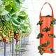 thumbnail image 4 of 2 bolsas de cultivo colgantes fresa tomate interior exterior cultivo vertical verduras hierbas flores, 4 of 5