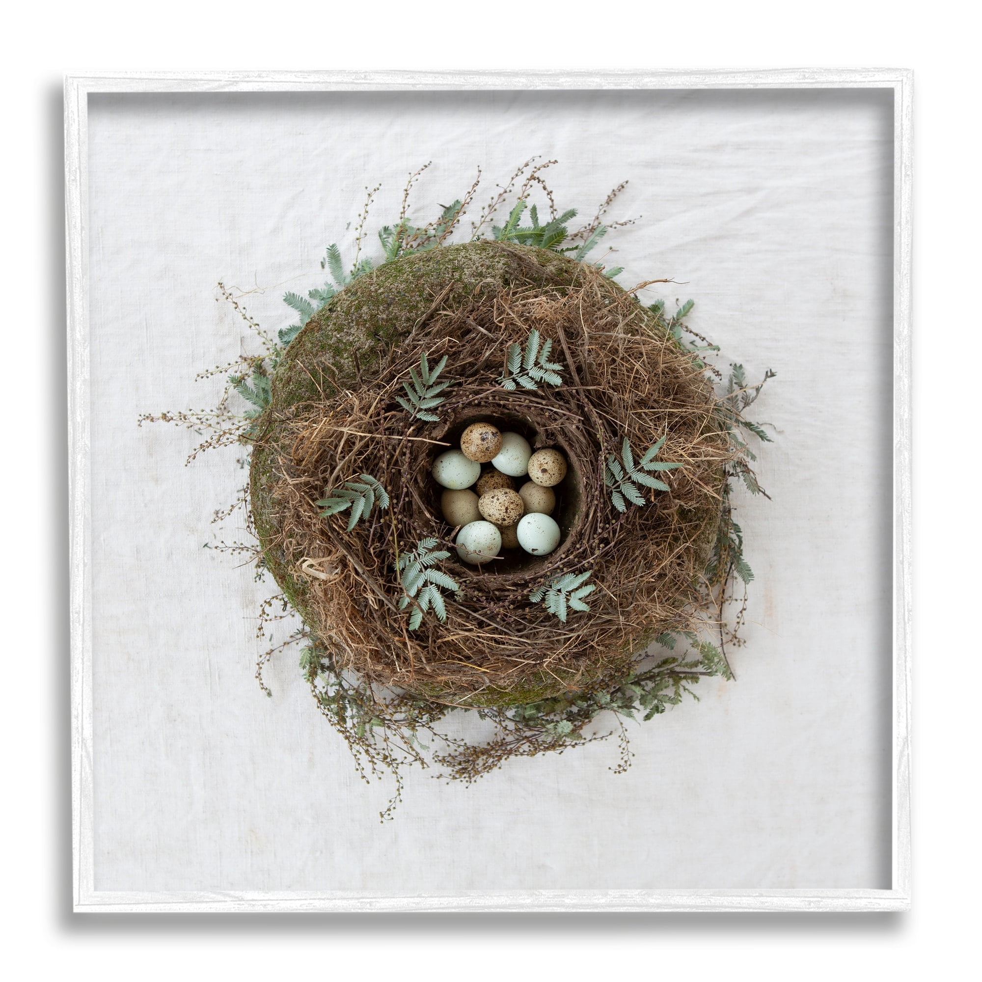 Stupell Industries Peaceful Bird Nest Speckled Eggs Nature Photography Photograph White Framed Art Print Wall Art, Design by Tania Soderman