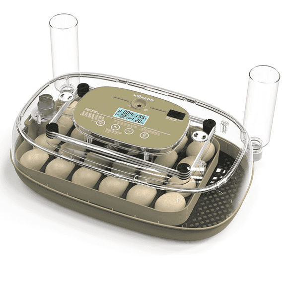 24 Egg Incubator with Auto Turning & Temperature/Humidity Control – Digital Chicken Egg Incubator for Hatching Ducks, Quail & Poultry | WONEGG DLM-24