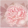 thumbnail image 2 of Lula Bijoux and Company 26x26 Black Ornate Wood Framed with Double Matting Museum Art Print Titled - Spring Eden Peony 2, 2 of 4