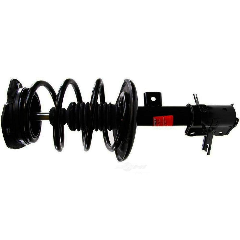 Suspension Strut and Coil Spring Assembly