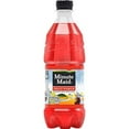 thumbnail image 3 of Minute Maid Fruit Punch - 12, 20 ounch Bottles (4 Flavor Variety Pack), 3 of 6