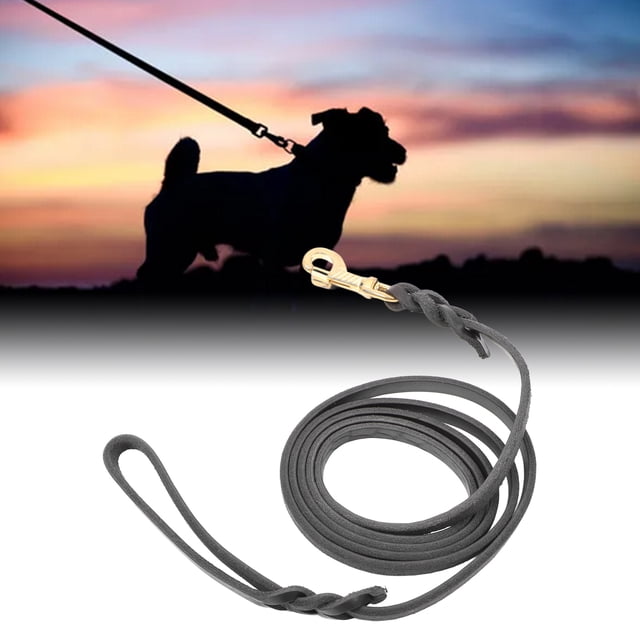 Correa De Cuero Para Perros, Correa De Entrenamiento Para Perros Duradera De Piel De Vaca Cómoda Para Perros De Gran Tamaño Para Caminar En El Jardín