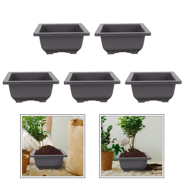 IDEANATEGRATE 5Ud Macetas Cuadradas Negras De Plástico Para Suculentas Ideales Para Y Regalo