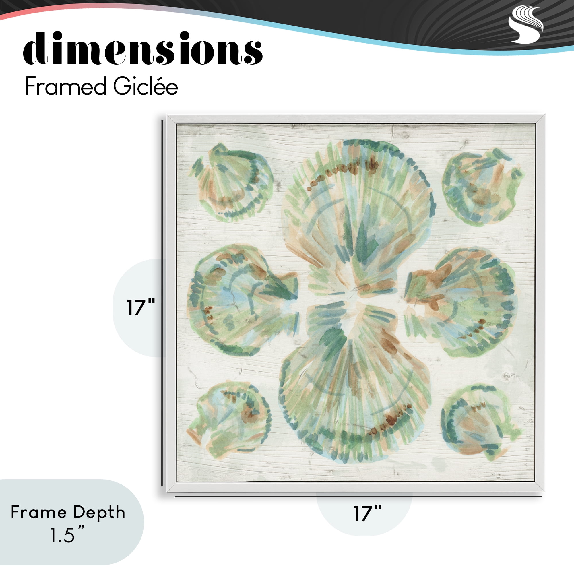 Stupell Industries Saltwashed Shells Symmetry White Framed Giclee Art, design by June Erica Vess