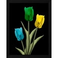 thumbnail image 2 of Albert Koetsier 15x18 Black Modern Wood Framed Wall Art Titled - Jeweled Tulip Trio 4, 2 of 6