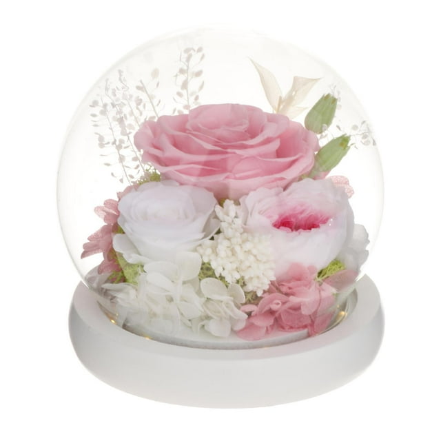 Regalo para el Día de la Madre, regalo floral único, flores preservadas, regalo para la abuela mamá Rosa