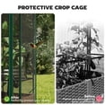 thumbnail image 5 of Outsunny Raised Garden Bed with Trellis, 46.5" Tomato Cage with Crop Cage, Self Watering Planter Box with Drainage Holes and Plugs, Green, 5 of 9