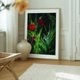 thumbnail image 6 of Washington Morning Poppy Glow - Ocean Shores Washington Photography Floral Nature Botanical Garden Moody Mystical Summer Oak Framed Wall Art Print 12 x 16 inches, 6 of 12