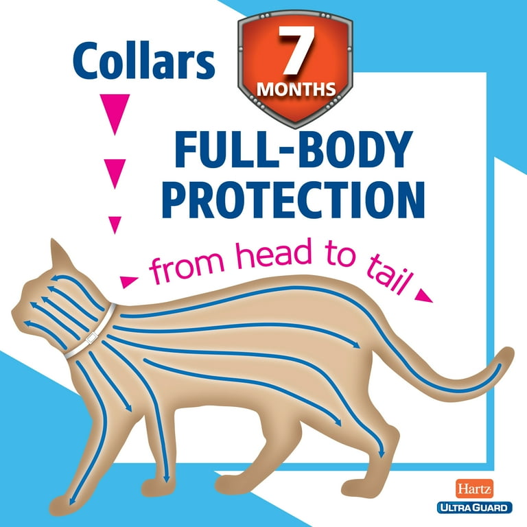 Hartz ultraguard flea and best sale tick collar for cats