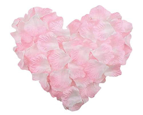 RuiChy 1000pcs Silk Artificial Rose Petals for Wedding Flowers Home Party Romantic Night Anniversary Valentines Day Pink