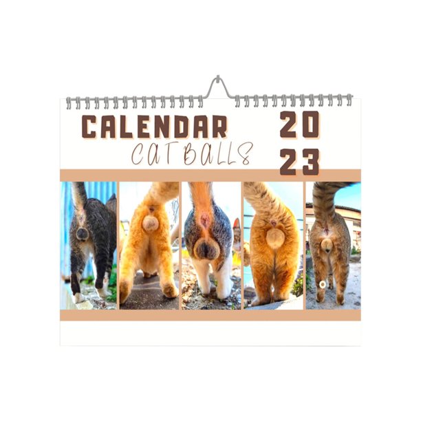 2023 Funny Cats Hip Calendarios de pared 12 meses Bobina Calendario anual Decoración de pared Tmvgtek Para estrenar