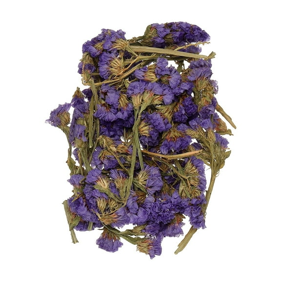 Natural Dried Flower Set, Dried Pressed Flowers (Forget-me-not)