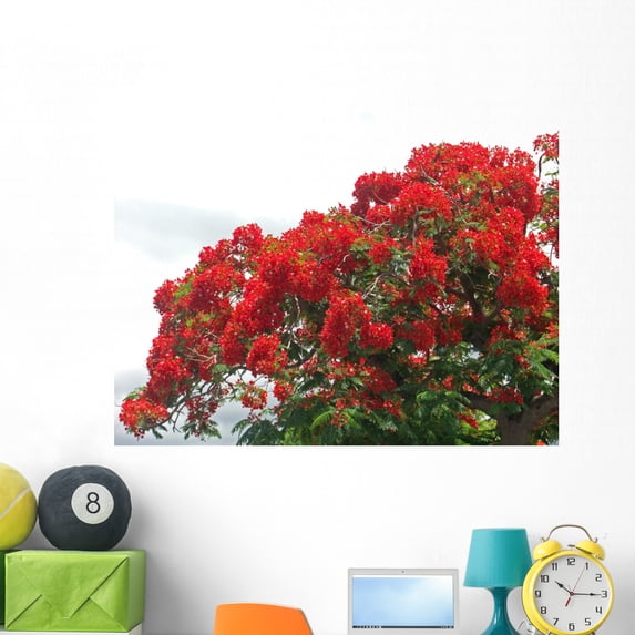 Flamboyant Des Les Wall Mural by Wallmonkeys Peel and Stick Graphic (48 in W x 34 in H) WM232261