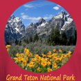 thumbnail image 3 of CafePress - Grand Teton Mountains With Yellow Spr Dark T Shirt - Men's Classic Graphic Cotton T-Shirt, 3 of 4