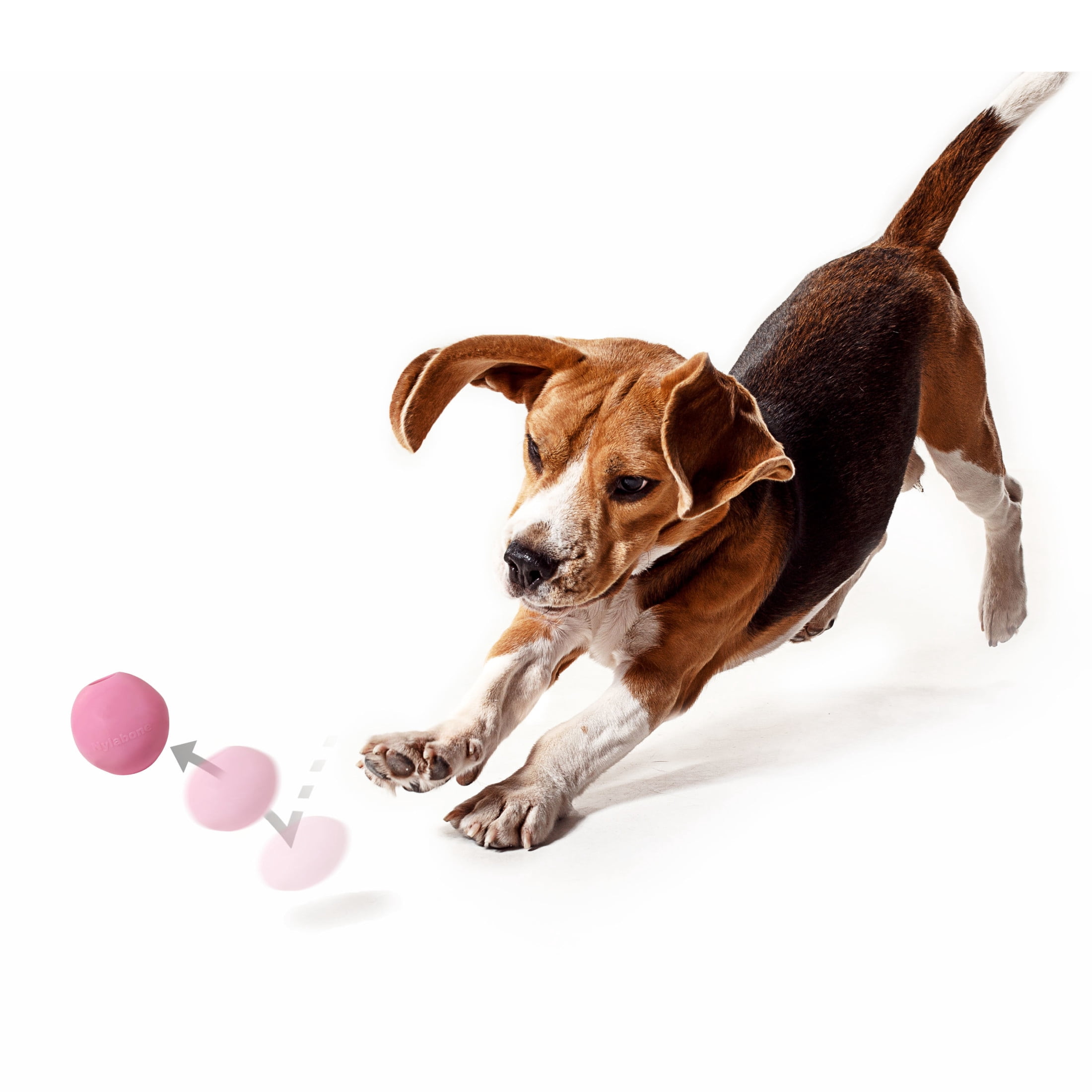 Nylabone Power Play Tennisball Für Hunde, Größe L, 2 Stück – Mit Quietscher, Weich Für Zähne
