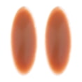 thumbnail image 4 of Venta Caliente Silicona Incrustaciones de Pantorrilla Correctores de Piernas Autoadhesivo Forma Perfecta de La Pierna - Salvador Dali Onlays para piernas de silicona, 4 of 10
