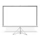 thumbnail image 1 of Pantalla para proyector Qian QPD-69603 120' Plegable Tela Blanco Mate, 1 of 6