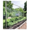 thumbnail image 6 of 6300ft Tomato Twine - Heavy Duty Garden Twine for Trellising, Plant Support - UV Resistant, 3lb Box (2300ft/lb), Easy-Feed, 6 of 9
