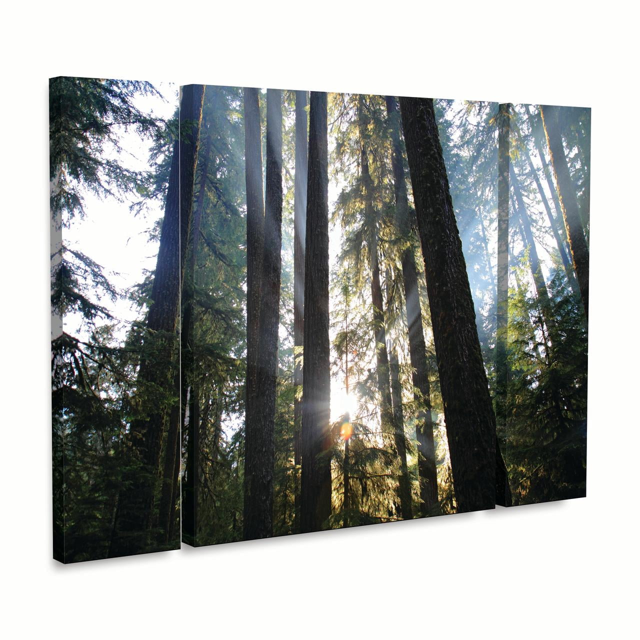 Trademark Fine Art 'Sunrays' Canvas Art by Pierre Leclerc