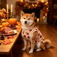 thumbnail image 6 of Thanksgiving Day Dog Shirts, Fall Pumpkin Turkey Tank Tops for Small Medium Dogs, Vests for Cats Puppies (White, X-Large), 6 of 7