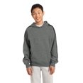 thumbnail image 1 of Sudadera con capucha y manga a rayas para jóvenes de Sport-Tek®. YST265 Vendimia deporte-tek YST265, 1 of 1