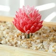 thumbnail image 3 of Mini Artificial Succulents Simulation Plant Bonsai for Desktop Home Garden Decor, 3 of 4
