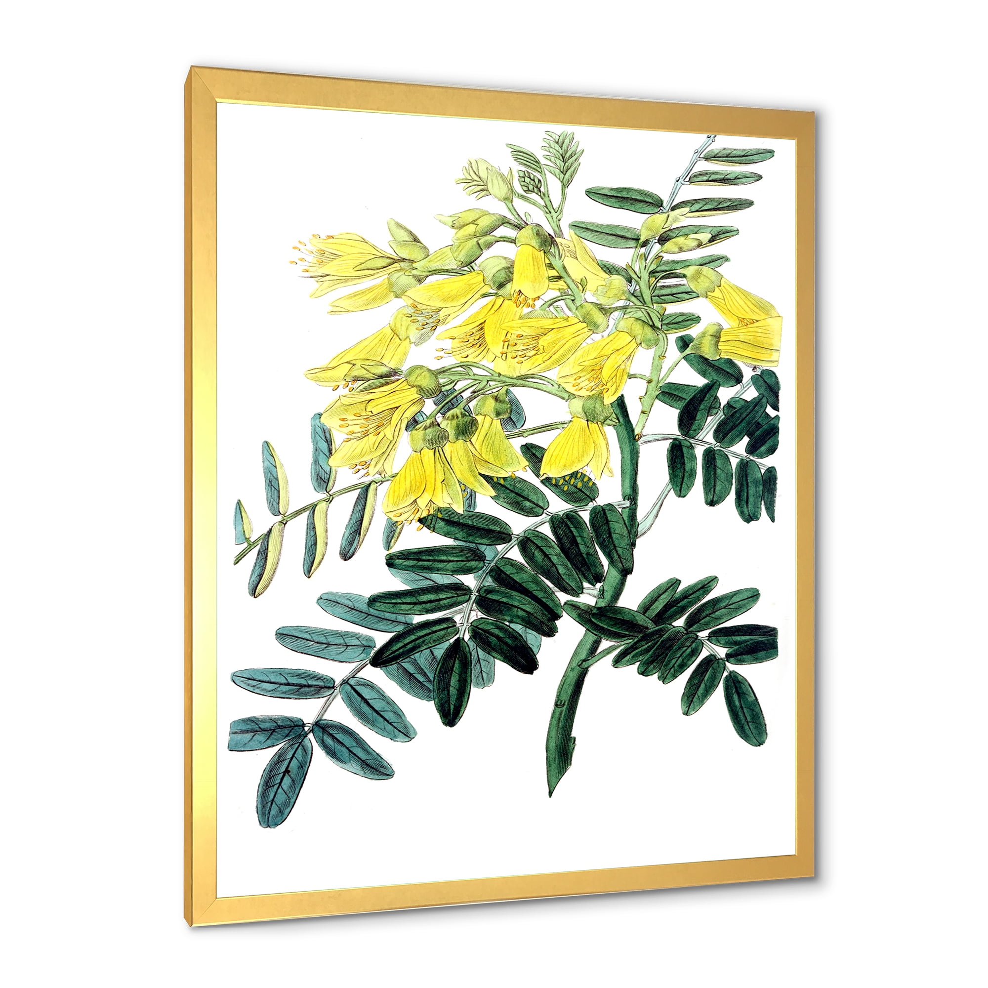 Designart 'Ancient Yellow Flower II' Traditional Framed Art Print