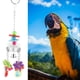 thumbnail image 2 of Juguete De Loro Colorido Con Percha, Juguete De Loro Colgante, Masticación Para Loro De Pájaro ANGGREK Otros, 2 of 8
