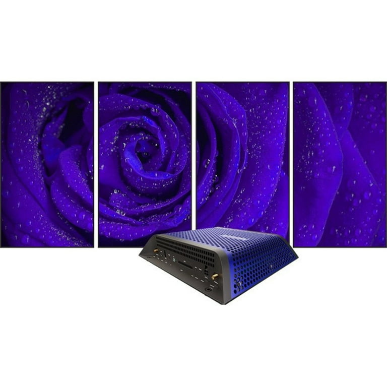 BrightSign XC2055 Digital Signage Appliance - Walmart.com
