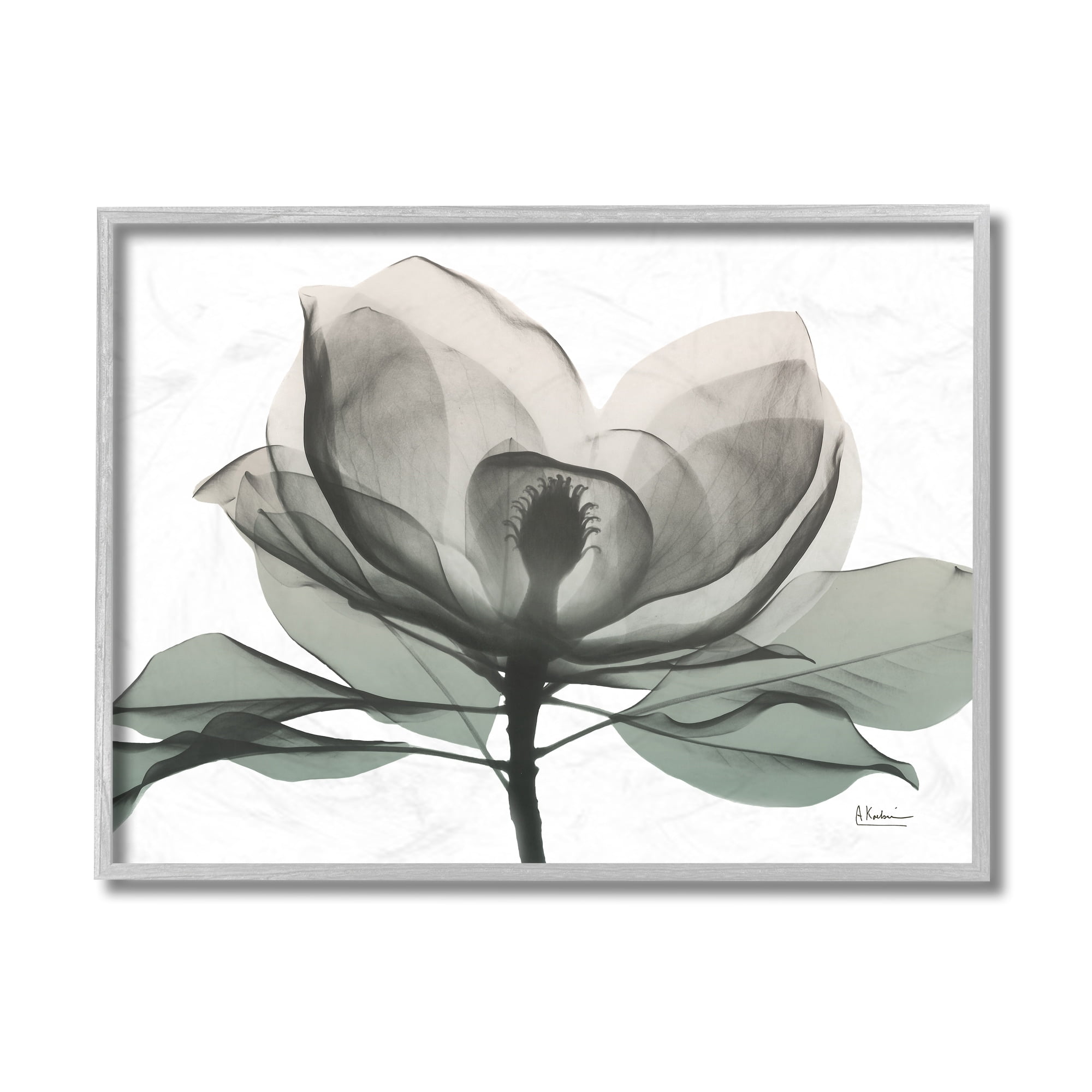 Stupell Industries White Magnolia Flower White Green Silhouette Gray Framed by Albert Koetsier