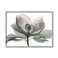 thumbnail image 4 of Stupell Industries White Magnolia Flower White Green Silhouette Gray Framed by Albert Koetsier, 4 of 5