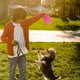 thumbnail image 4 of 4 piezas perro pelota de rugby fútbol mascota perro masticar pequeños juguetes de pelota de goma, 4 of 5