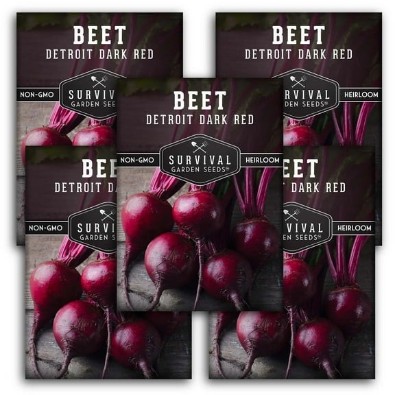 5 Packs Detroit Dark Red Beet Seeds - Non-GMO Heirloom Full Sun Biennial Vegetable