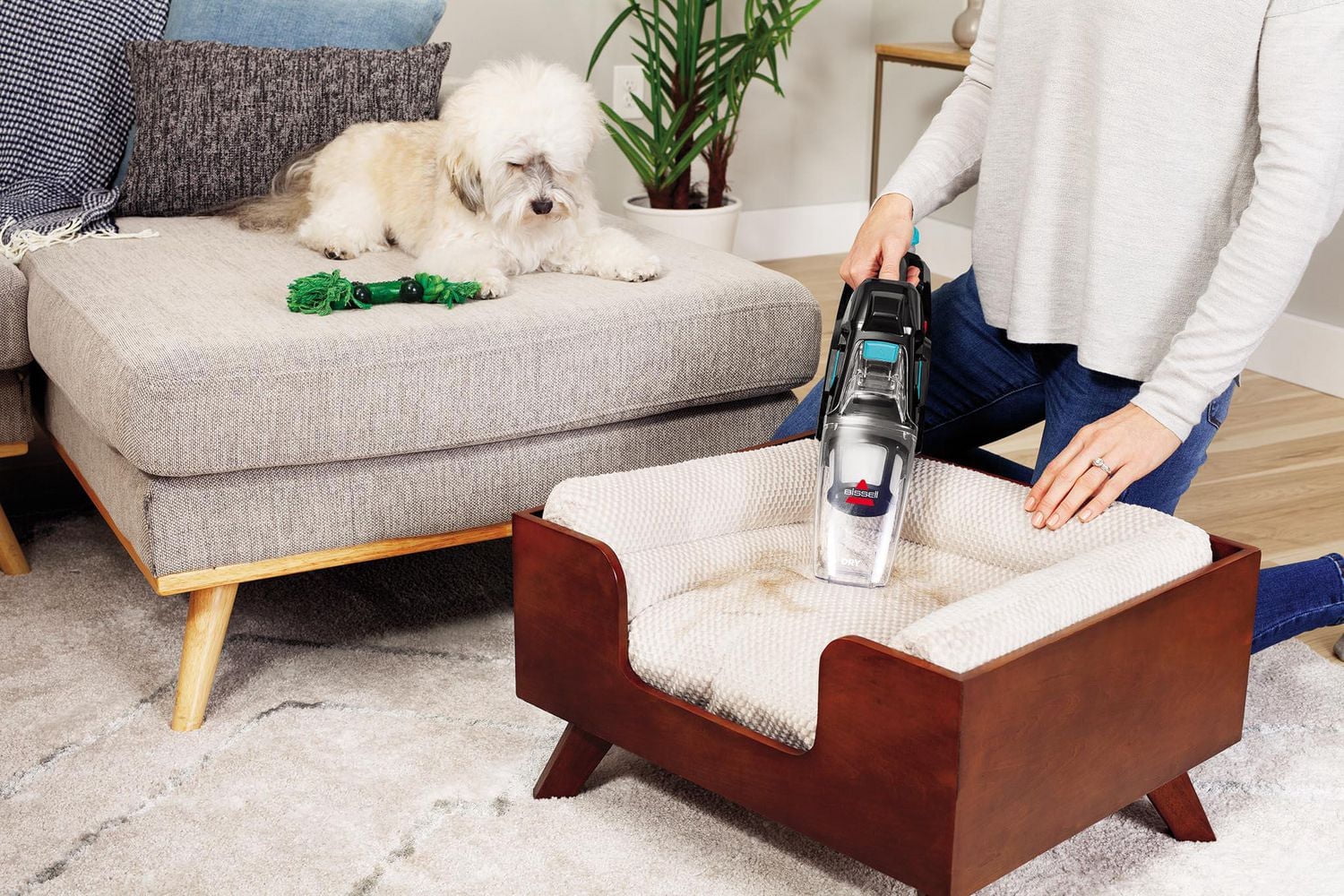 Pet Stain Eraser™ Duo Cordless Portable Deep Cleaner Plus Hand Vacuum