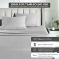 BNM Egyptian Cotton 850 Thread Count Bed Sheet Set, Queen, Chrome