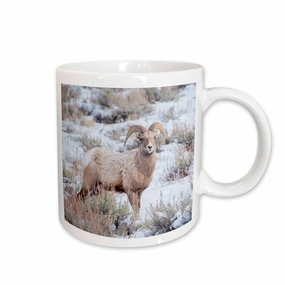 3drose, Usa, Wyoming, Bighorn Sheep, Winter, 15oz Mug