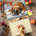 thumbnail image 6 of 2026 Boxer Dogs Wall Calendar 16-Month X-Large Size 14x22, Fun Dog Calendar by The KING Company-Monster Calendars, 6 of 7