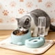 thumbnail image 1 of Comedero y bebedero dos en uno para perros y gatos: comedero y bebedero elevado con base antideslizante y diseño inclinado a 15° para facilitar la alimentación y la bebida., 1 of 6