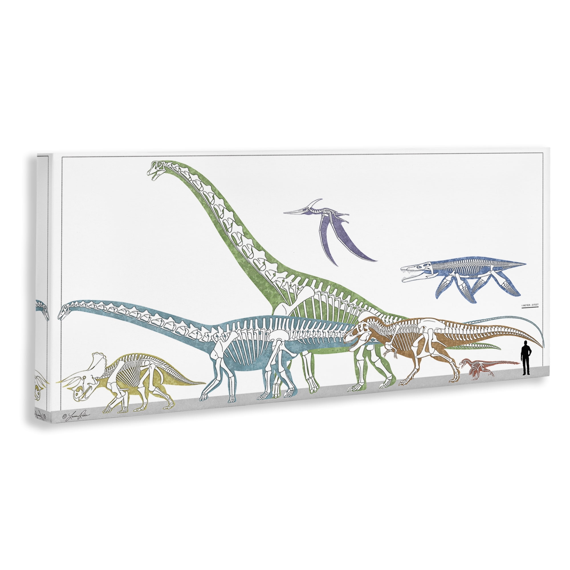 Stupell Industries Educational Prehistoric Skeletons Animals Painting Wrapped Canvas Art Print Wall Art, 24 x 10