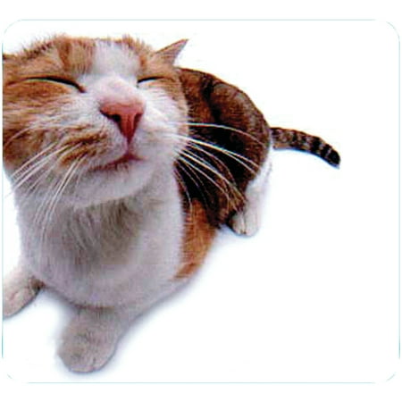 UPC 035286293709 product image for Pet Me Cat Mouse Pad | upcitemdb.com
