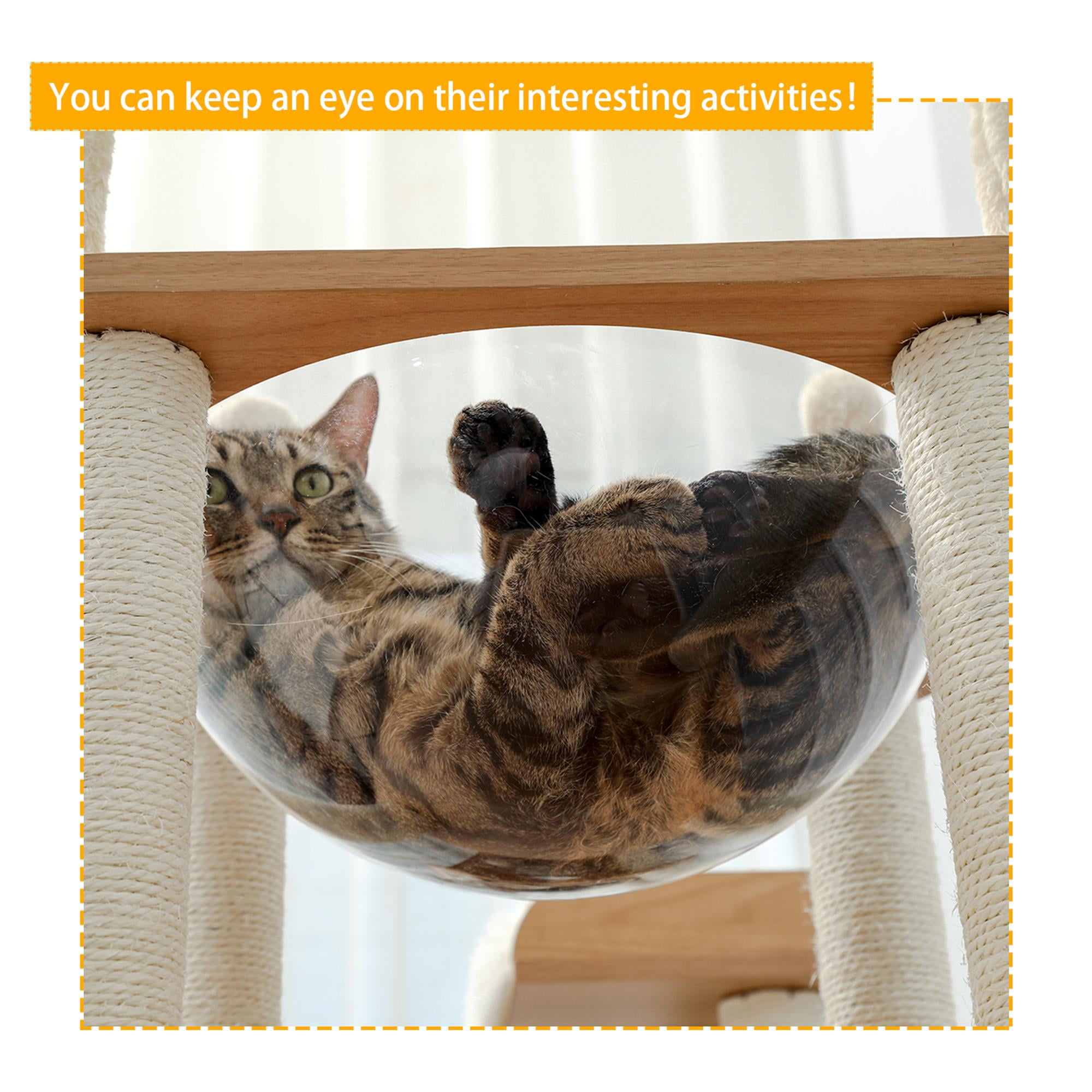 Kadyn 48" Cat Tree for Indoor Multi-Level Cat Tower Cat Condos Kitten Activity Centre Furniture, Beige Kadyn 48" Cat Tree for Indoor Multi-Level Cat Tower Cat Condos Kitten Activity Centre Furniture, Beige