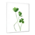 thumbnail image 2 of Designart 'Field Green Plant Detail Clover' Farmhouse Framed Art Print, 2 of 4