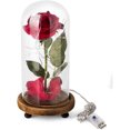 thumbnail image 2 of Kit de rosa de La Bella y la Bestia, rosa y luz LED en cúpula de cristal sobre base de madera para decoración del hogar, cumpleaños, boda, día de San Valentín (rojo) Fokelyi LL-1802, 2 of 6
