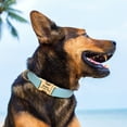 thumbnail image 3 of Didog Soft Leather & Nylon Dog Collar Personalized Pet ID Name Number Tag Engraved S-L, 3 of 16
