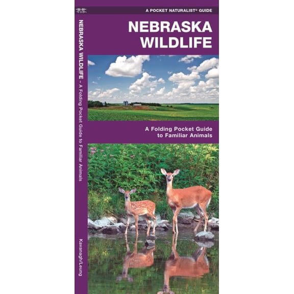 Wildlife and Nature Identification: Nebraska Wildlife : A Folding Pocket Guide to Familiar Animals (Other)